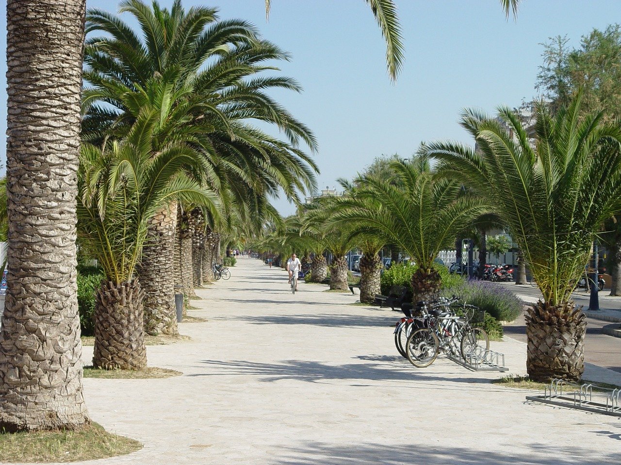cose da vedere a San benedetto del tronto